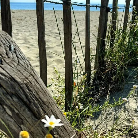 Semesterbostad A Casetta Di L Alivu