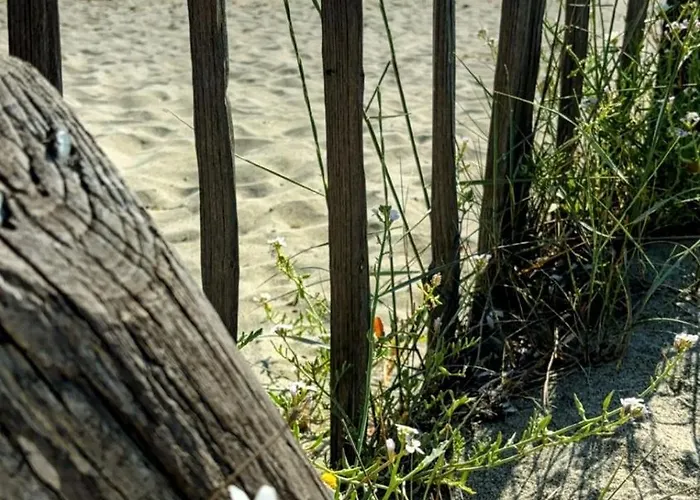 Casa de Férias A Casetta Di L Alivu